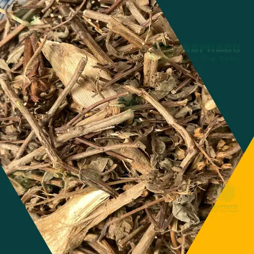 Hương nhu khô đã qua sơ chế tại THAPHACO, đảm bảo vệ sinh