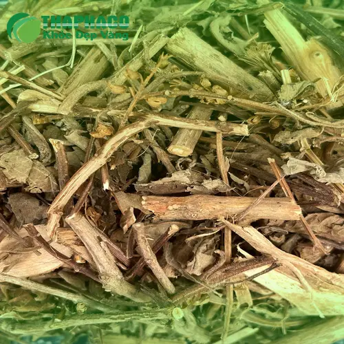 Quy trình kiểm định chất lượng hương nhu tại THAPHACO