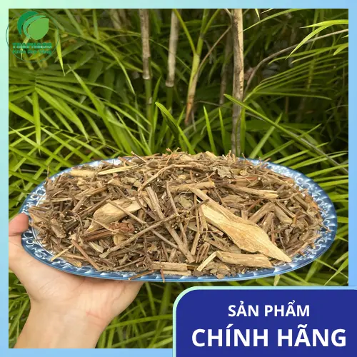 Quy trình kiểm soát chất lượng nghiêm ngặt của Dược Liệu Sỉ THAPHACO, đảm bảo dược liệu sạch và an toàn.