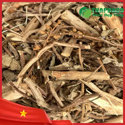 Sản phẩm hương nhu chất lượng từ THAPHACO