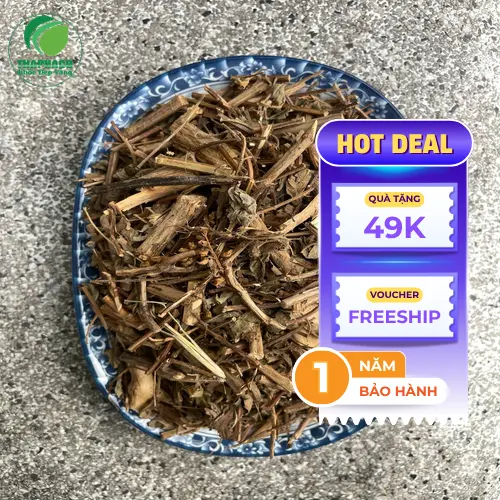 Đóng gói và giao hàng hương nhu khô số lượng lớn tại THAPHACO