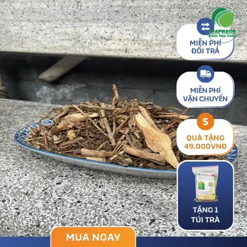 Sản phẩm hương nhu chất lượng từ THAPHACO