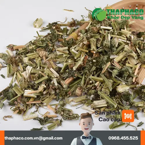 Trà ích mẫu sấy khô đã được đóng gói