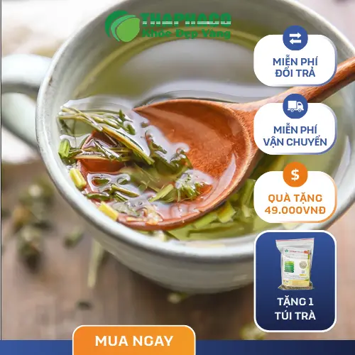Ly trà Ích Mẫu thơm ngon sau khi pha đúng cách