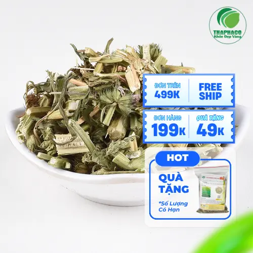 Cách pha trà ích mẫu sấy khô đơn giản tại nhà
