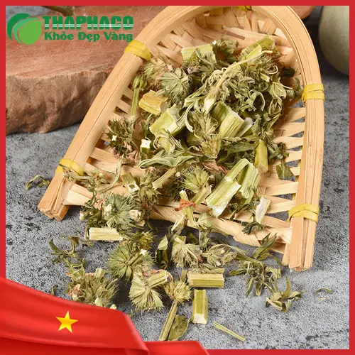 Quy trình sấy khô Ích Mẫu tại THAPHACO đảm bảo chất lượng
