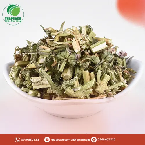 Tư Vấn Chuyên Sâu Về Dược Liệu Sỉ Tại THAPHACO