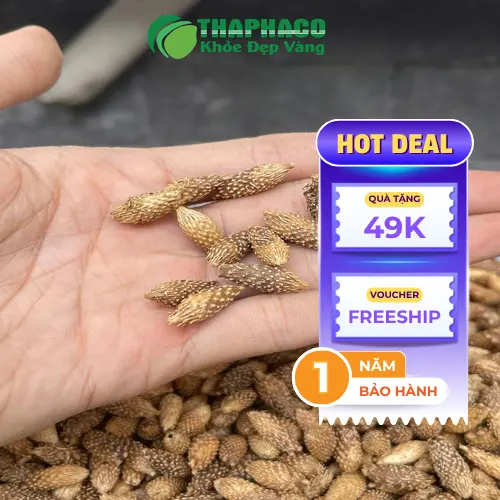 Cây ké đầu ngựa và quả ké đầu ngựa tự nhiên