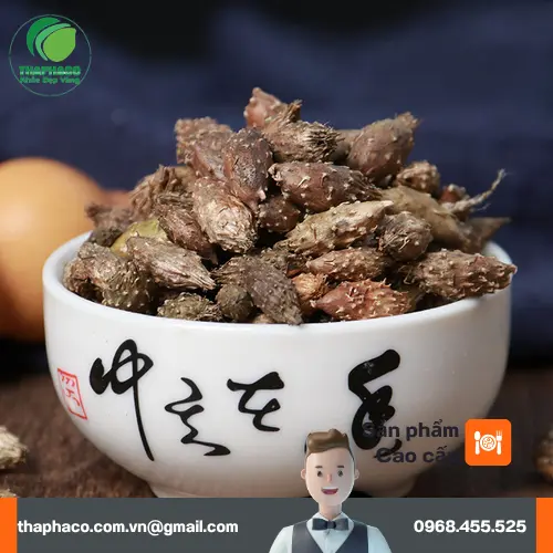 Ké đầu ngựa khô đã được sơ chế và phơi khô