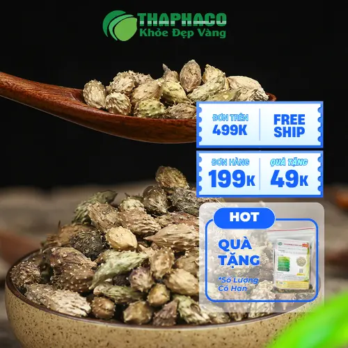 Ké đầu ngựa khô tại Dược Liệu Sỉ THAPHACO
