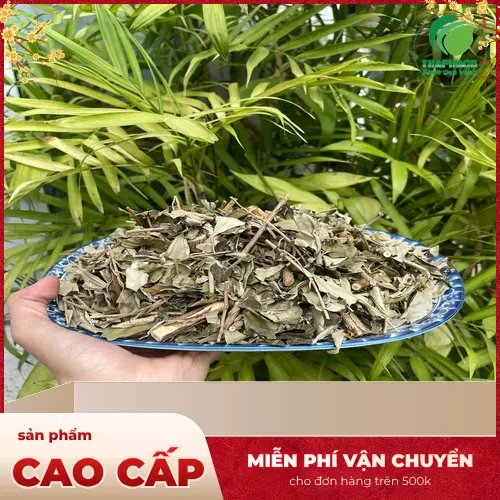 Rễ khổ sâm khô chất lượng cao dùng trong trị vảy nến