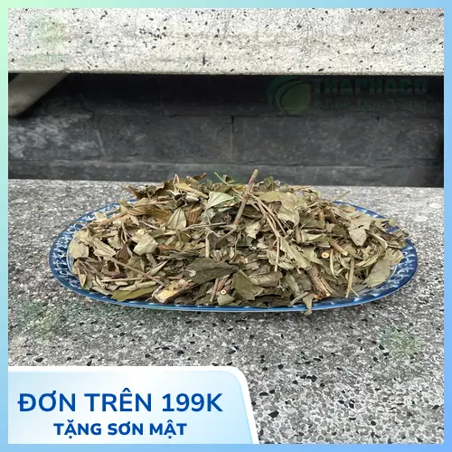 Bảo quản khổ sâm đúng cách trong túi kín