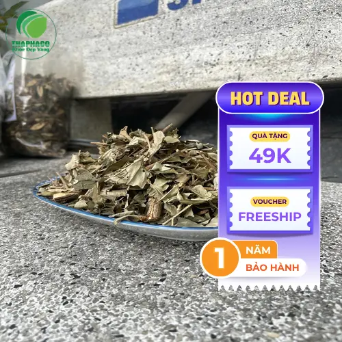 Khổ sâm sau khi sơ chế, sẵn sàng cho quy trình đóng gói sỉ chuyên nghiệp tại THAPHACO