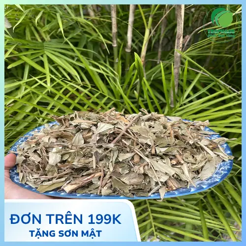 Khổ sâm được đóng gói cẩn thận, đảm bảo chất lượng