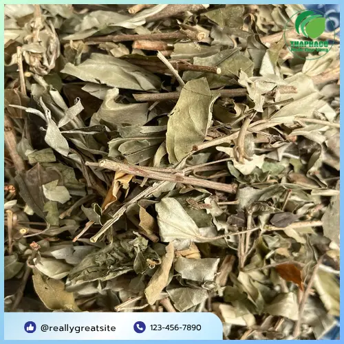 Khổ sâm khô đã được thái lát tiện lợi cho người dùng