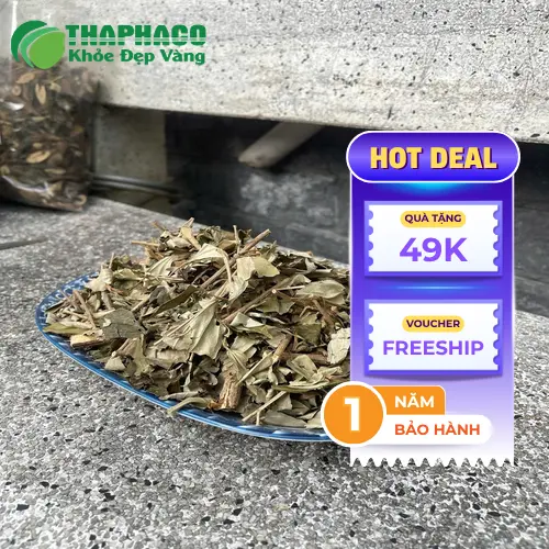 Quy trình phơi khô và bảo quản Khổ Sâm tại cơ sở Dược Liệu Sỉ THAPHACO