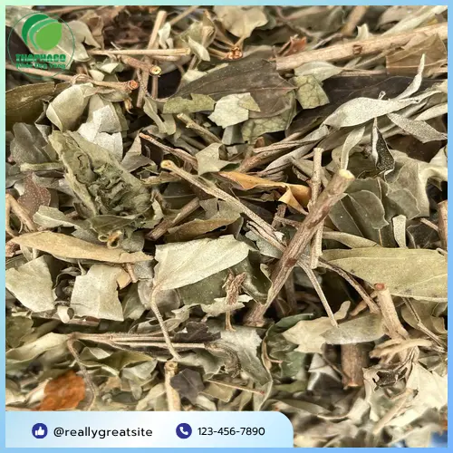 Cách sử dụng khổ sâm đúng cách để đạt hiệu quả tối ưu