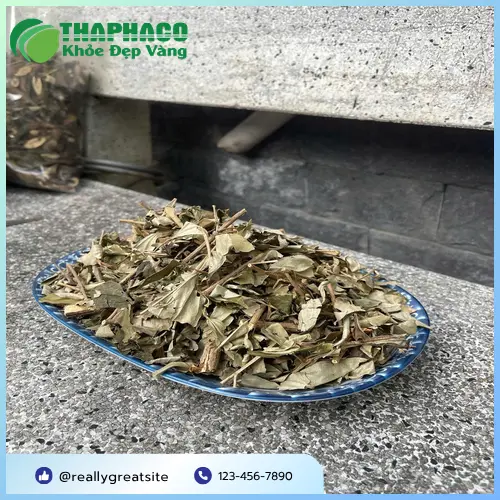 Đóng gói khổ sâm sấy lạnh chuyên nghiệp của THAPHACO