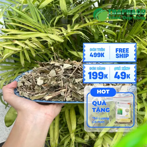 Khổ sâm khô được đóng gói và vận chuyển đến tay khách hàng
