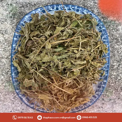 Lá bạc hà tươi xanh