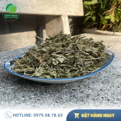 Lá bạc hà sấy khô chất lượng cao của Dược Liệu Sỉ THAPHACO, sẵn sàng cho việc sử dụng hàng ngày.
