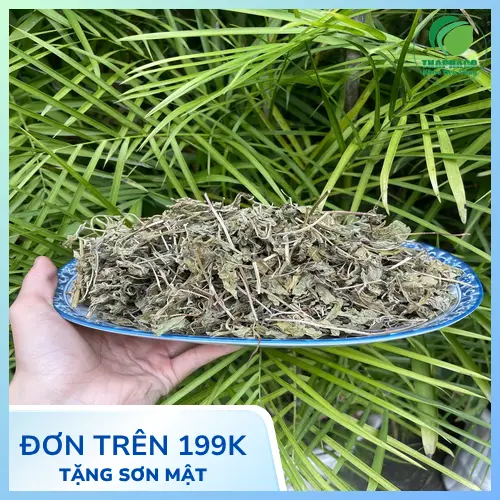 Hình ảnh lá bạc hà tươi xanh