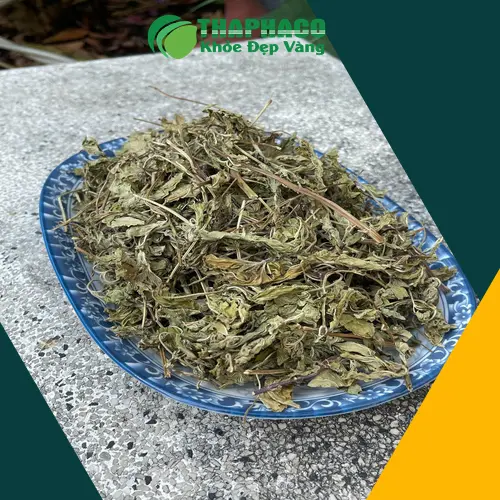 Lá bạc hà khô nguyên chất được chọn lọc kỹ lưỡng, đảm bảo chất lượng