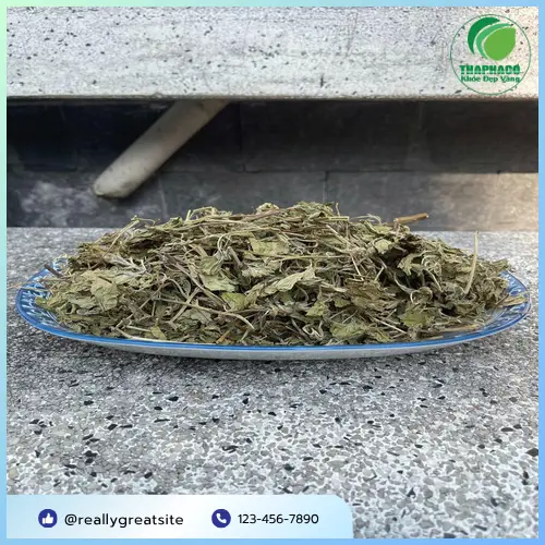 Quy trình đóng gói lá bạc hà khô số lượng lớn tại THAPHACO đảm bảo vệ sinh