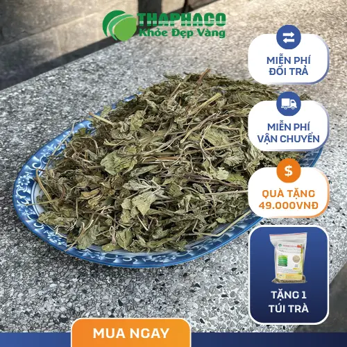 Hình ảnh lá bạc hà khô chất lượng cao
