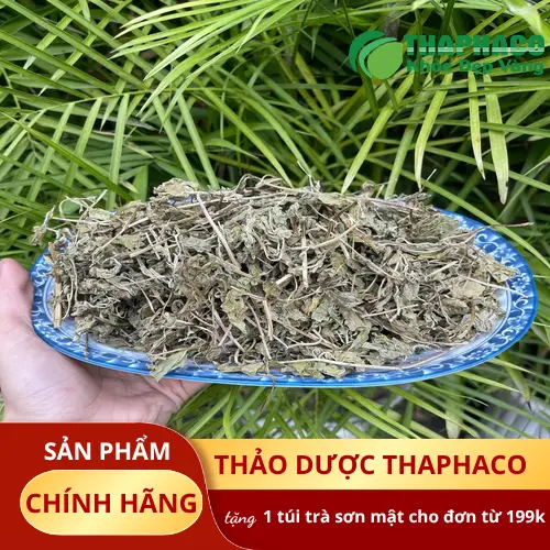 Pha trà từ lá bạc hà khô mang lại hương vị thơm ngon và nhiều lợi ích sức khỏe