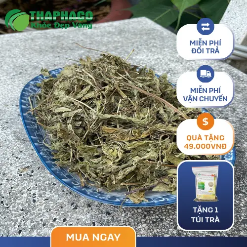 Hình ảnh lá bạc hà khô được sấy tự nhiên tại THAPHACO