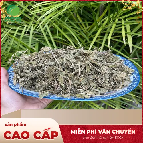 Bạc hà giúp giảm buồn nôn