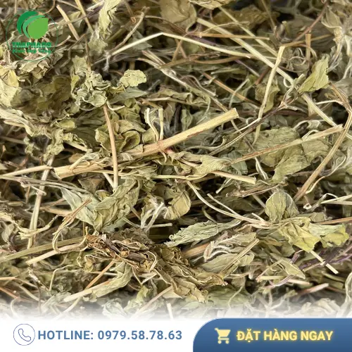 Pha trà bạc hà trị cảm cúm