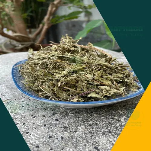 Chương trình khuyến mãi lá bạc hà khô tại THAPHACO