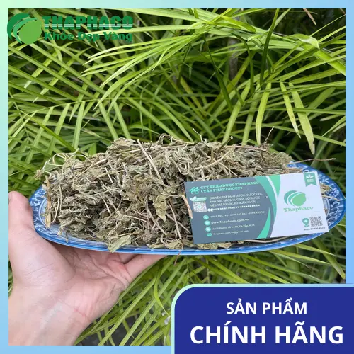 Lá bạc hà tự nhiên và an toàn