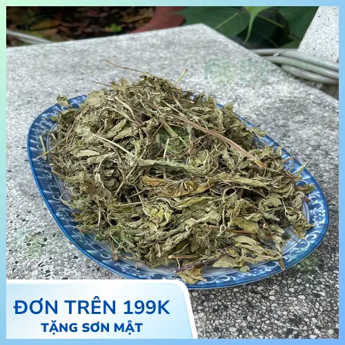 Kho dược liệu sỉ của THAPHACO, sẵn sàng xuất khẩu và cung cấp số lượng lớn