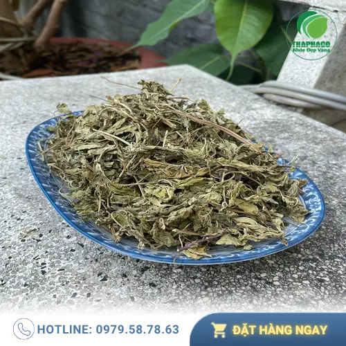 Đội ngũ Dược Liệu Sỉ THAPHACO luôn sẵn sàng phục vụ khách hàng