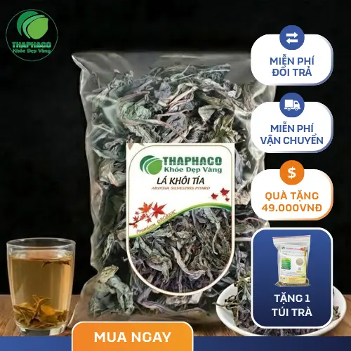 Kho chứa dược liệu lá khôi tía khô số lượng lớn tại THAPHACO