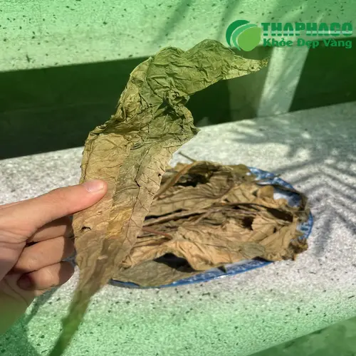 Quy trình đóng gói lá khôi tía khô chuyên nghiệp tại THAPHACO