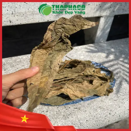 Các loại dược liệu được kết hợp cùng lá khôi tía