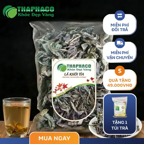 Sản phẩm lá khôi tía sấy khô của Dược Liệu Sỉ THAPHACO