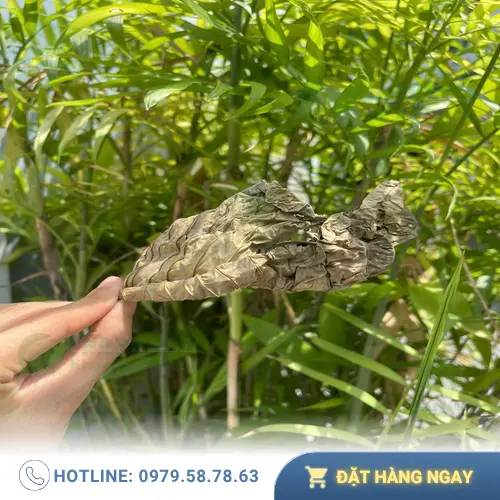 Lá khôi tía sấy khô dễ dàng pha chế