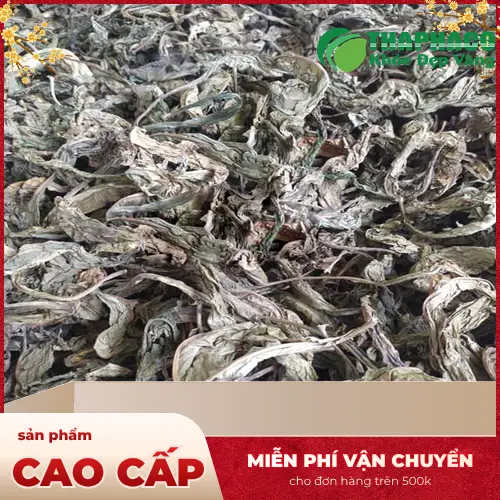 Lá khôi tía khô đã được chế biến sẵn tại THAPHACO