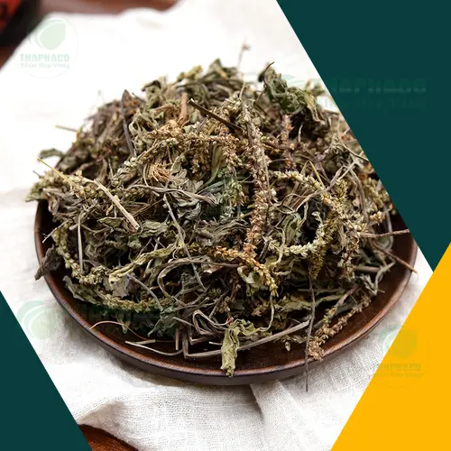 Lợi ích sức khỏe đa dạng từ mã đề sấy khô