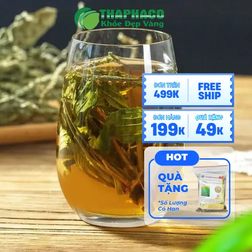 Quy trình sấy khô mã đề hiện đại tại THAPHACO