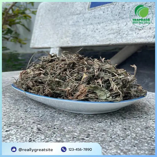 Mã đề khô sẵn sàng giao hàng tại THAPHACO