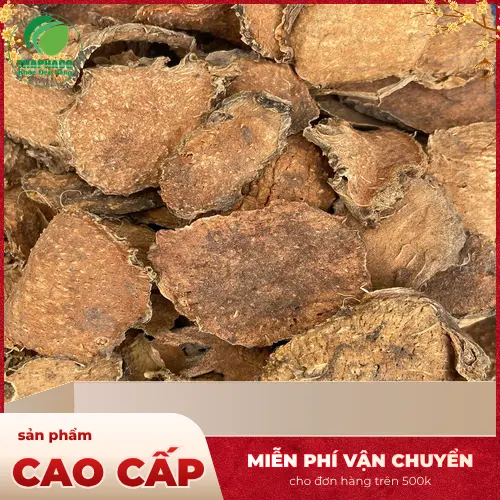 Quy trình sấy khô Móp gai chuẩn mực tại THAPHACO