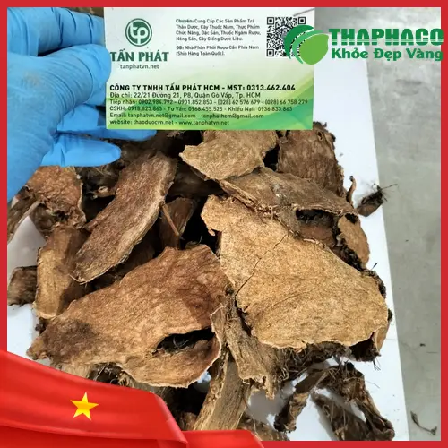 Hình ảnh móp gai khô đã được thái lát và phơi khô, sẵn sàng cho việc sử dụng làm dược liệu.