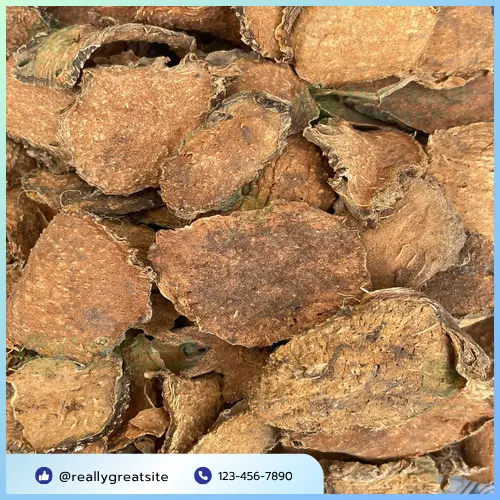 Hình ảnh một người đang chọn lựa móp gai khô tại cửa hàng Dược Liệu Sỉ THAPHACO, thể hiện quy trình mua bán dược liệu chất lượng cao.