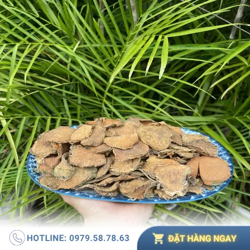 Mướp gai tươi xanh tự nhiên